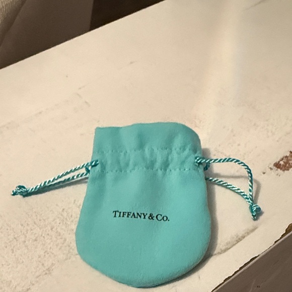 Tiffany & Co. Turquoise Jewelry Pouch only - Picture 2 of 4